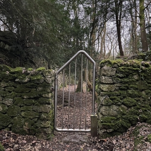 Gate in Arnfield